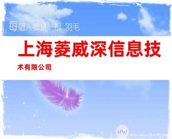 上海菱威深信息技术有限公司