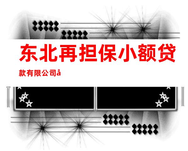 东北再担保小额贷款有限公司吉林分公司