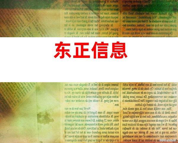 东正信息