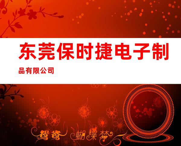 东莞保时捷电子制品有限公司