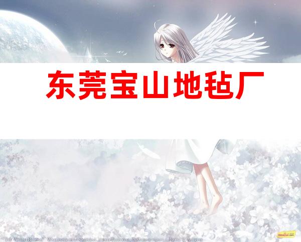 东莞宝山地毡厂