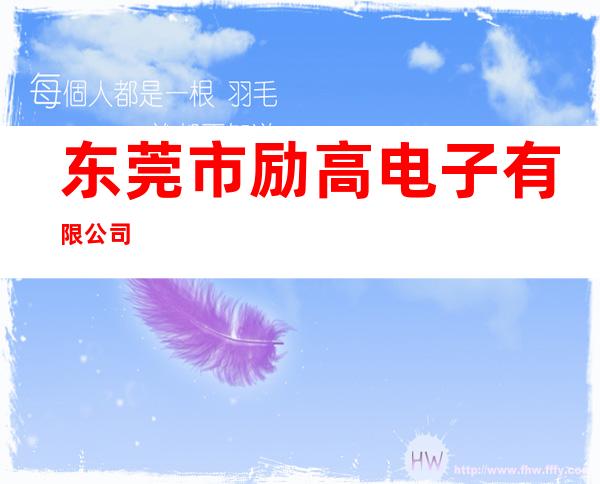 东莞市励高电子有限公司
