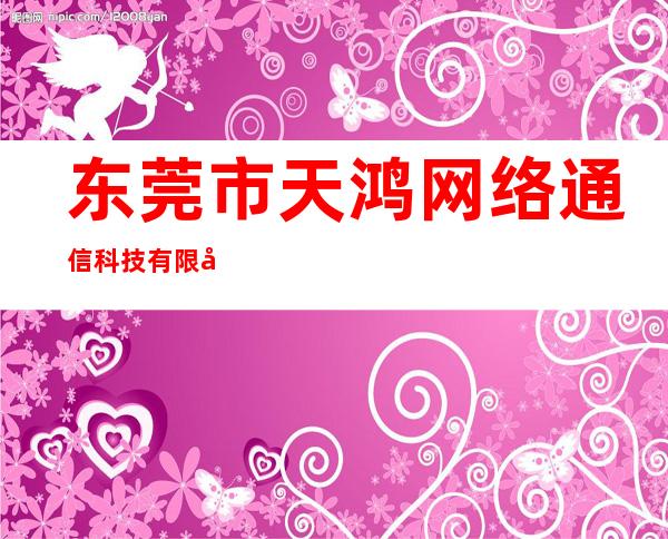 东莞市天鸿网络通信科技有限公司