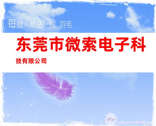 /东莞市微索电子科技有限公司