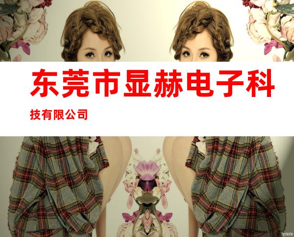 东莞市显赫电子科技有限公司