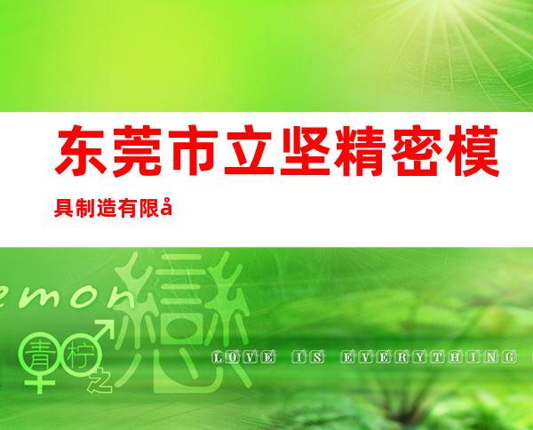东莞市立坚精密模具制造有限公司