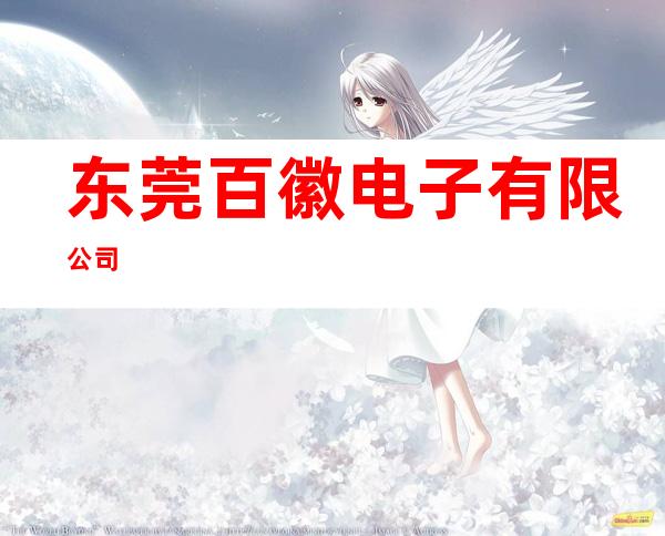 东莞百徽电子有限公司