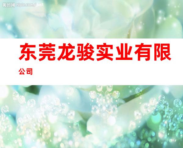 东莞龙骏实业有限公司