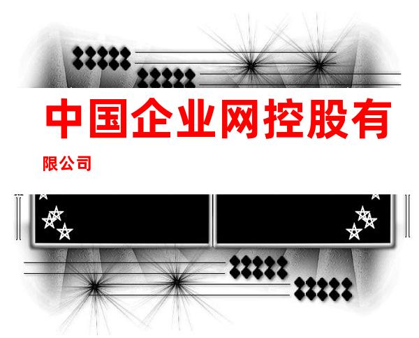 中国企业网控股有限公司