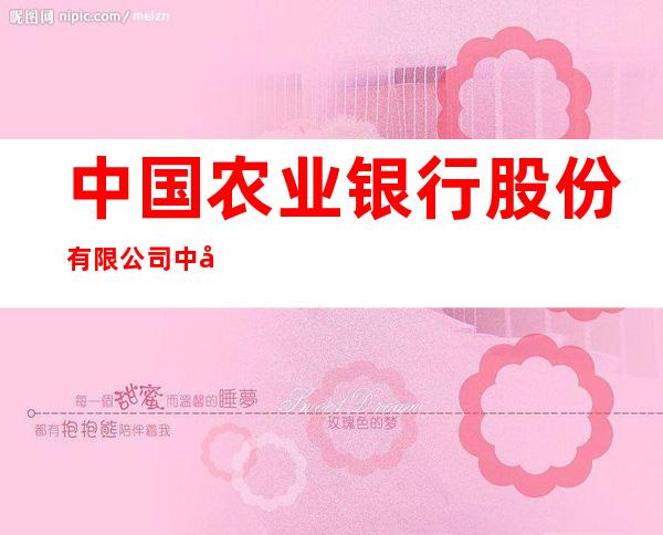 中国农业银行股份有限公司中宁长山头分理处