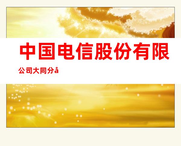 中国电信股份有限公司大同分公司