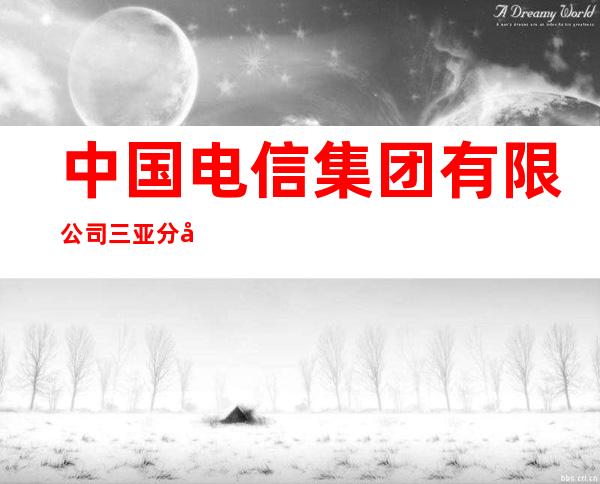 中国电信集团有限公司三亚分公司