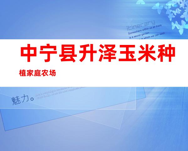 中宁县升泽玉米种植家庭农场