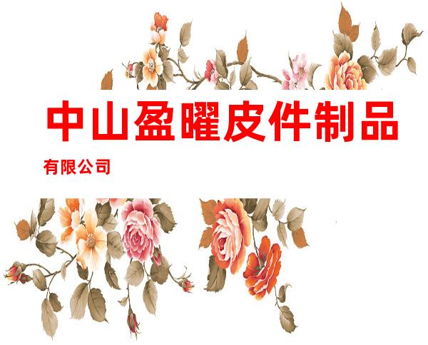 中山盈曜皮件制品有限公司