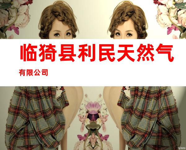 临猗县利民天然气有限公司