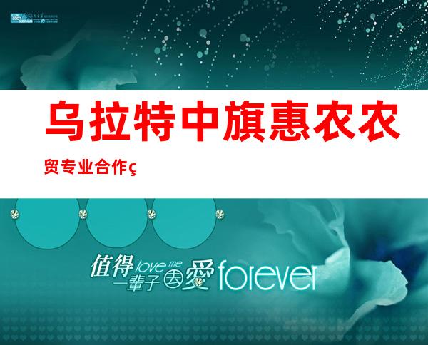 乌拉特中旗惠农农贸专业合作社