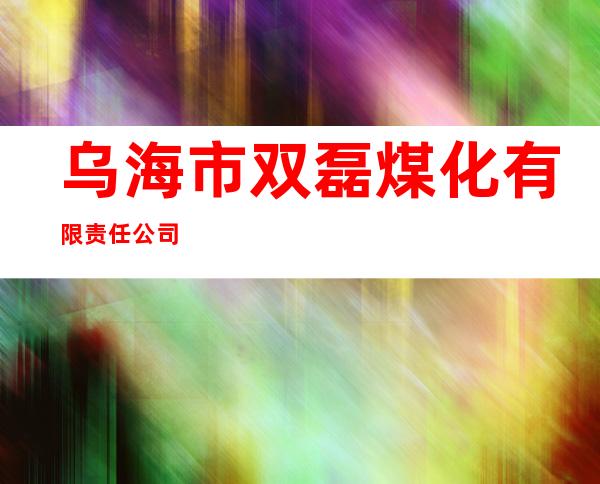 乌海市双磊煤化有限责任公司