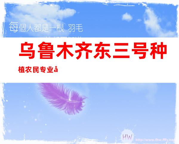 乌鲁木齐东三号种植农民专业合作社