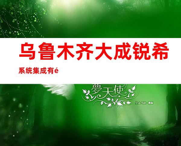 乌鲁木齐大成锐希系统集成有限公司