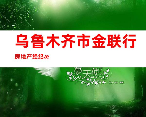乌鲁木齐市金联行房地产经纪有限公司