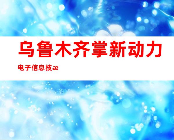 乌鲁木齐掌新动力电子信息技术有限公司