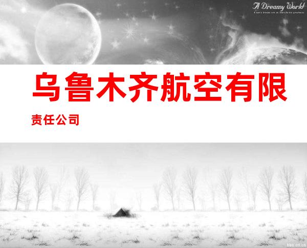 乌鲁木齐航空有限责任公司