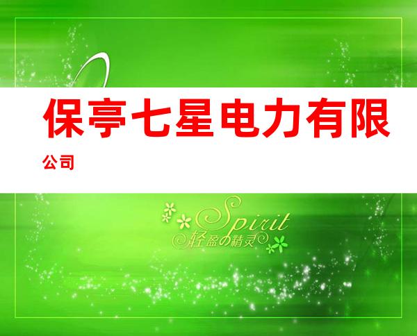 保亭七星电力有限公司