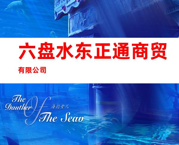 六盘水东正通商贸有限公司