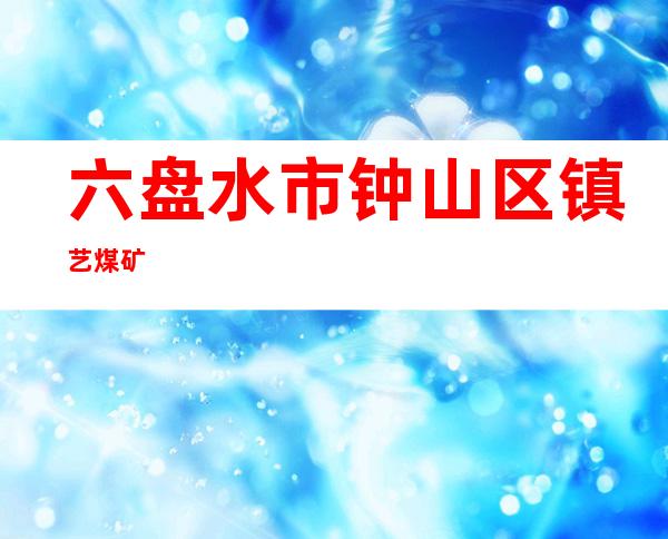 六盘水市钟山区镇艺煤矿