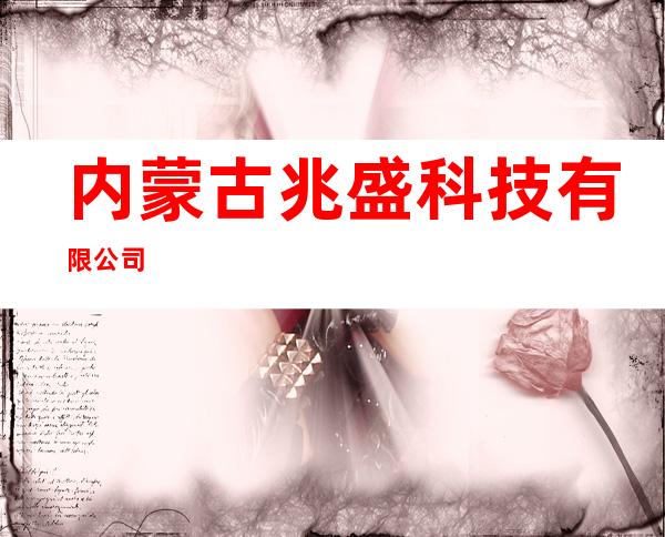 内蒙古兆盛科技有限公司