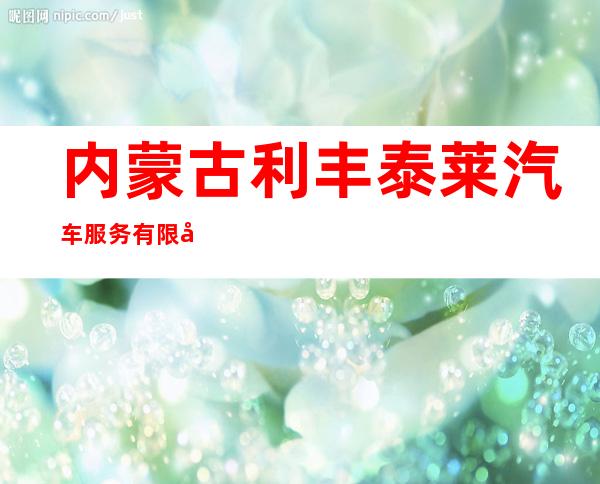 内蒙古利丰泰莱汽车服务有限公司