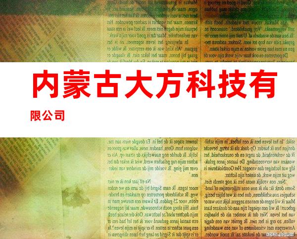 内蒙古大方科技有限公司
