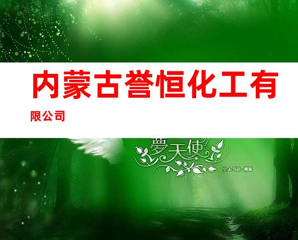 内蒙古誉恒化工有限公司