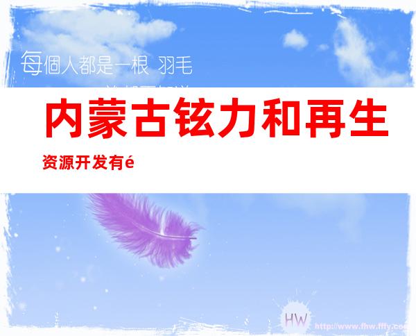 内蒙古铉力和再生资源开发有限公司
