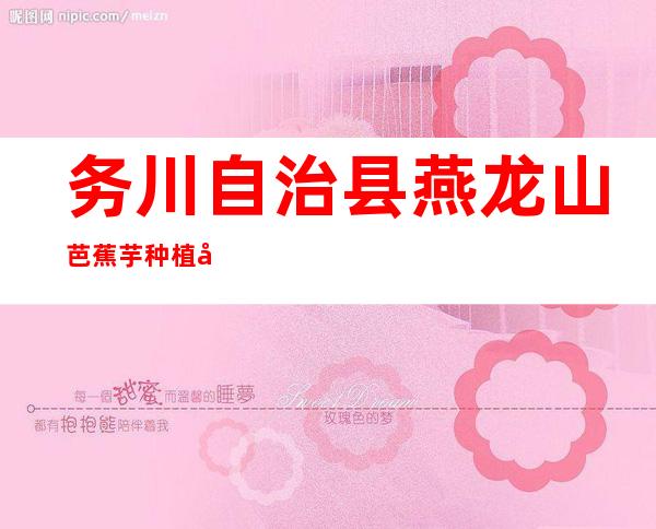 务川自治县燕龙山芭蕉芋种植农民专业合作社
