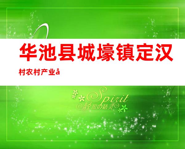 华池县城壕镇定汉村农村产业发展资金专业合作社
