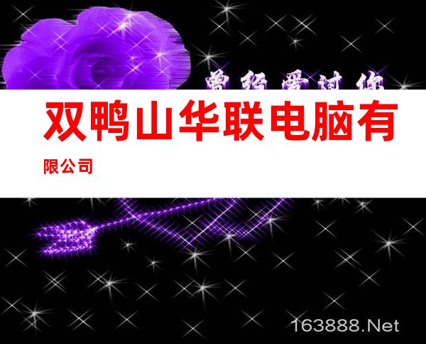 双鸭山华联电脑有限公司