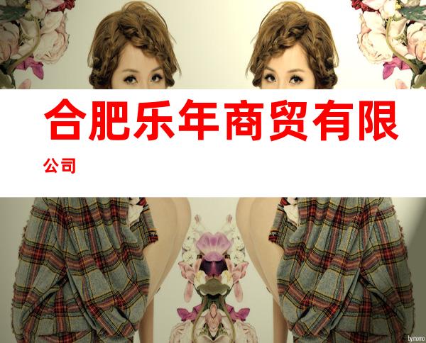 合肥乐年商贸有限公司
