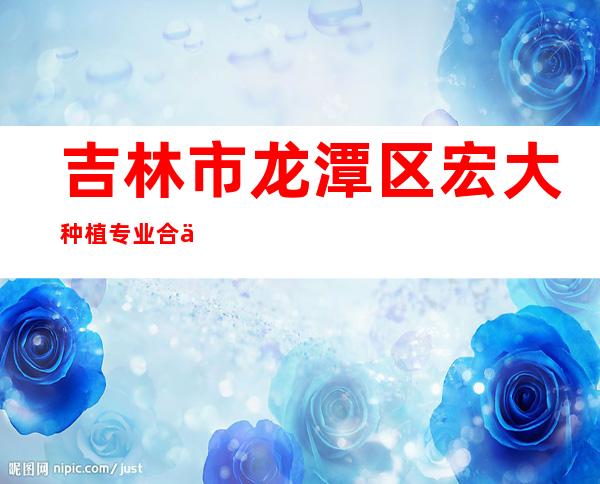吉林市龙潭区宏大种植专业合作社