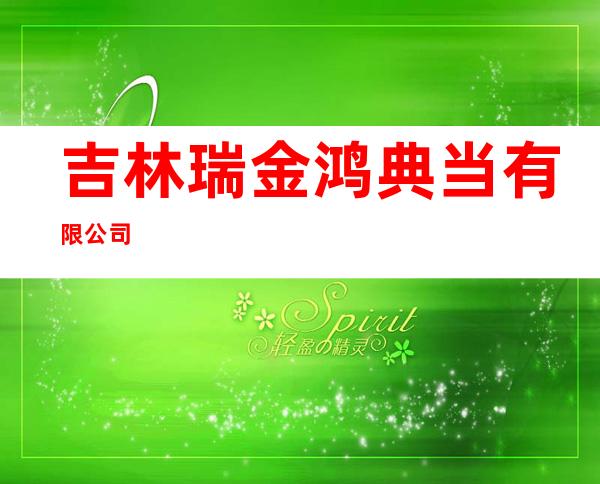 吉林瑞金鸿典当有限公司