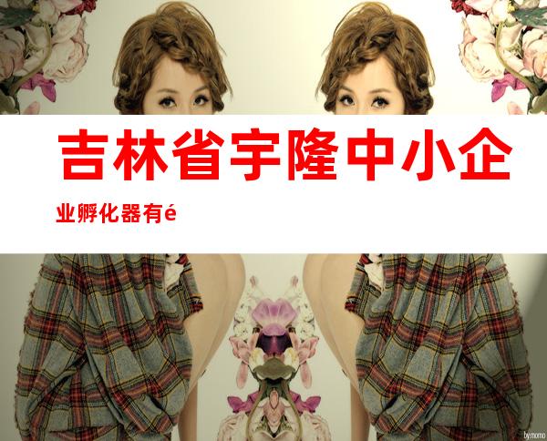 吉林省宇隆中小企业孵化器有限责任公司