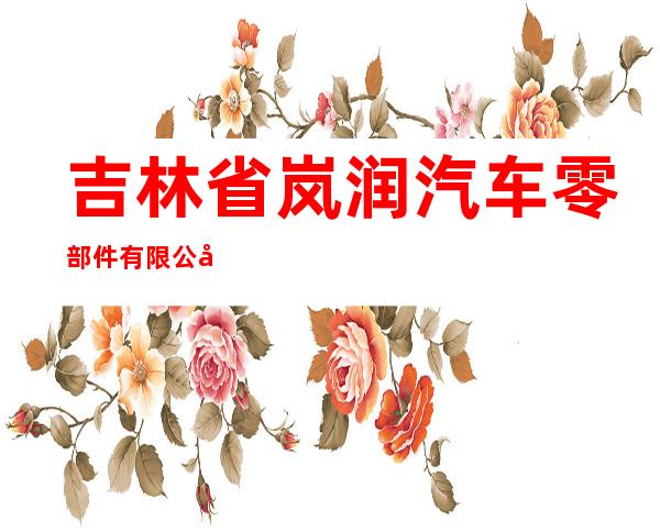 吉林省岚润汽车零部件有限公司