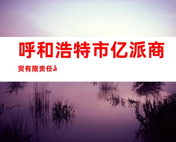 呼和浩特市亿派商贸有限责任公司