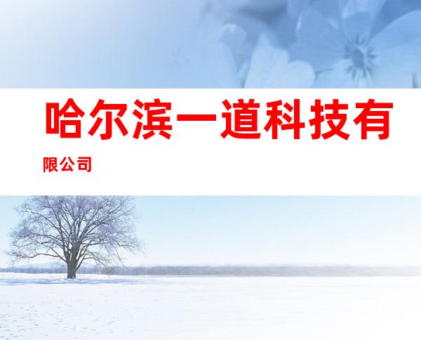 哈尔滨一道科技有限公司