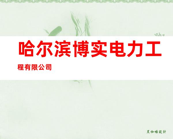 哈尔滨博实电力工程有限公司