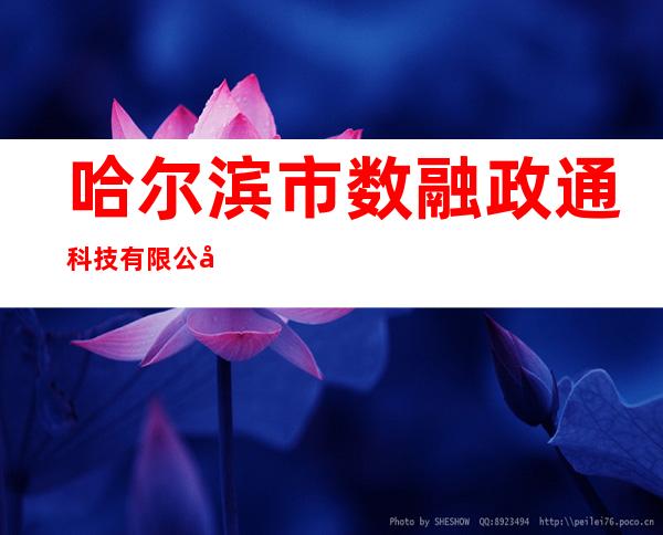 哈尔滨市数融政通科技有限公司