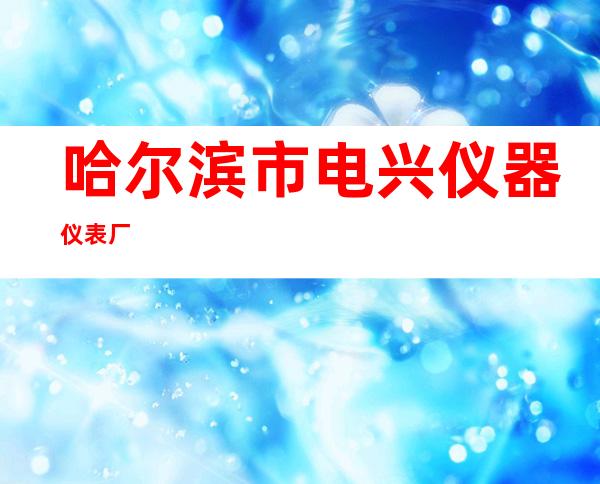 哈尔滨市电兴仪器仪表厂