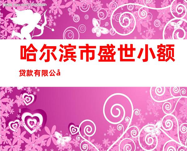 哈尔滨市盛世小额贷款有限公司