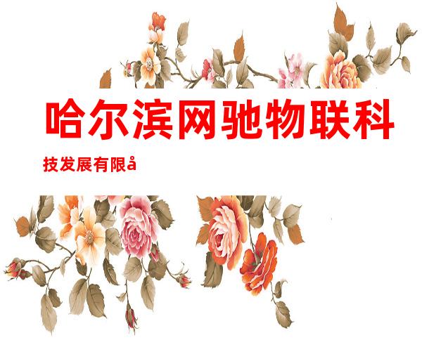 哈尔滨网驰物联科技发展有限公司