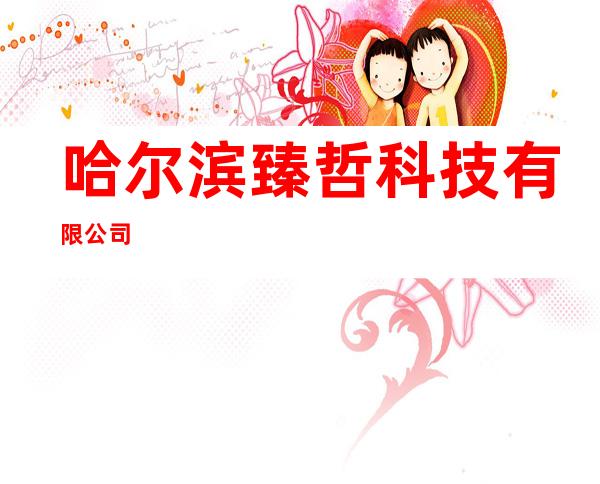 哈尔滨臻哲科技有限公司